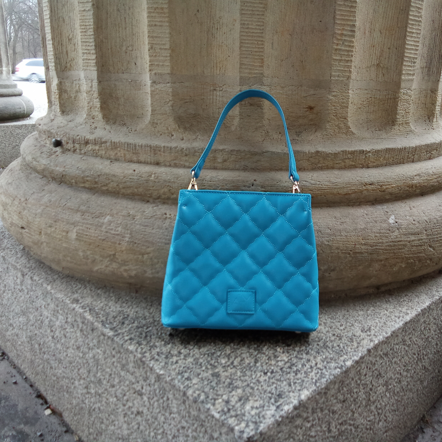 Which Bag?