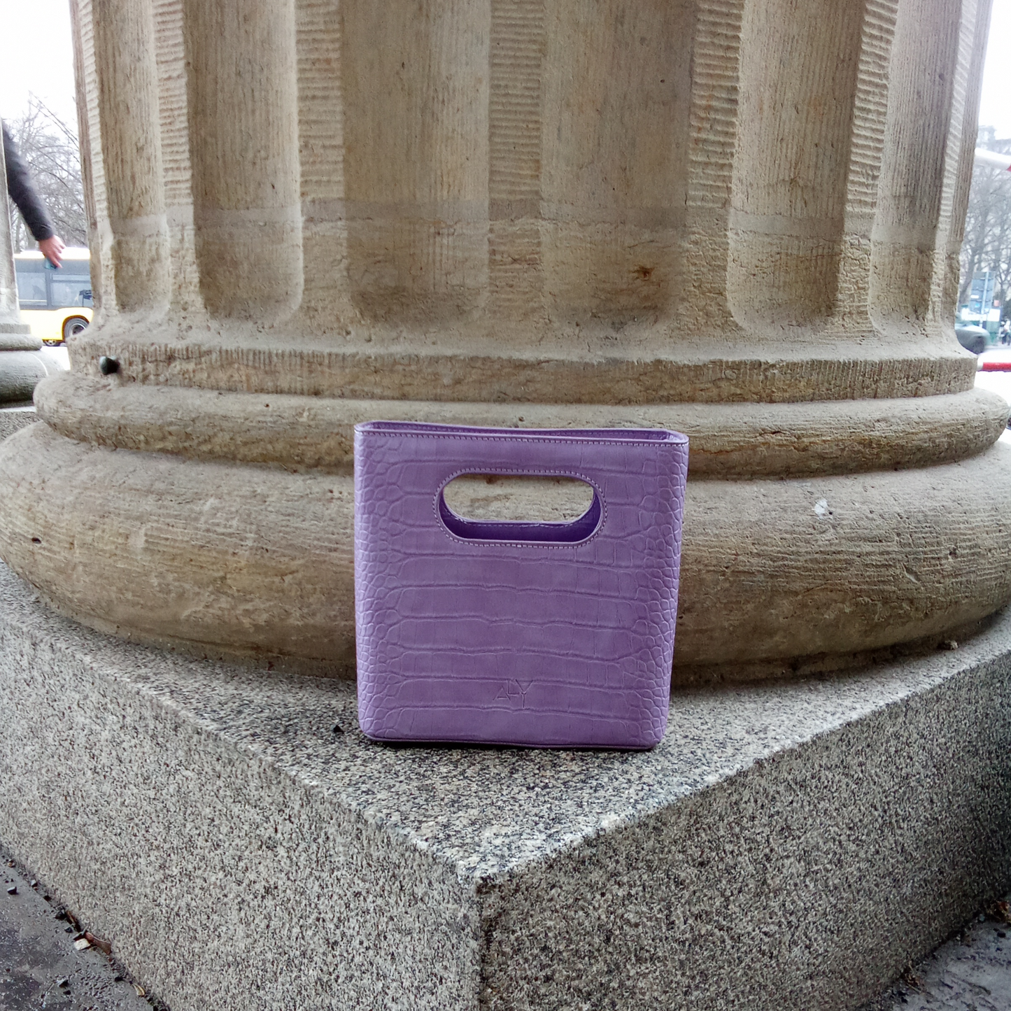 Which Bag?